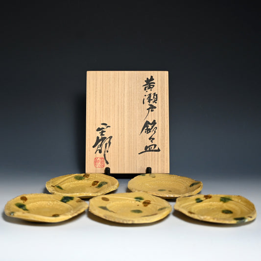 Vibrant Set 5 Ki-Seto Dishes ー林 正太郎 "黄瀬戸銘々皿"