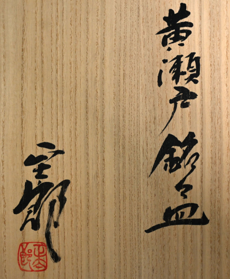 Shotaro Vibrant Set 5 Ki-Seto Dishes ー林 正太郎 “黄瀬戸 銘々皿”