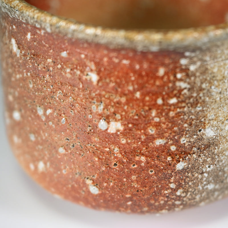 Shigaraki Chawan Tea Bowl ー大谷司朗 "内裏野窯 信楽茶盛"