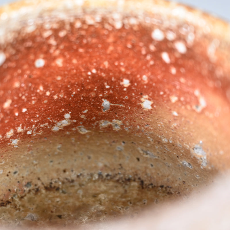 Shigaraki Chawan Tea Bowl ー大谷司朗 "内裏野窯 信楽茶盛"