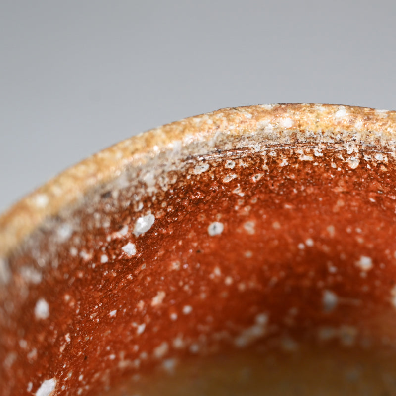 Shigaraki Chawan Tea Bowl ー大谷司朗 "内裏野窯 信楽茶盛"