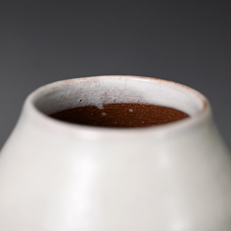 Classic Vase by Sodeisha Member ー山田 光 “白化粧 鉄繪 花入”