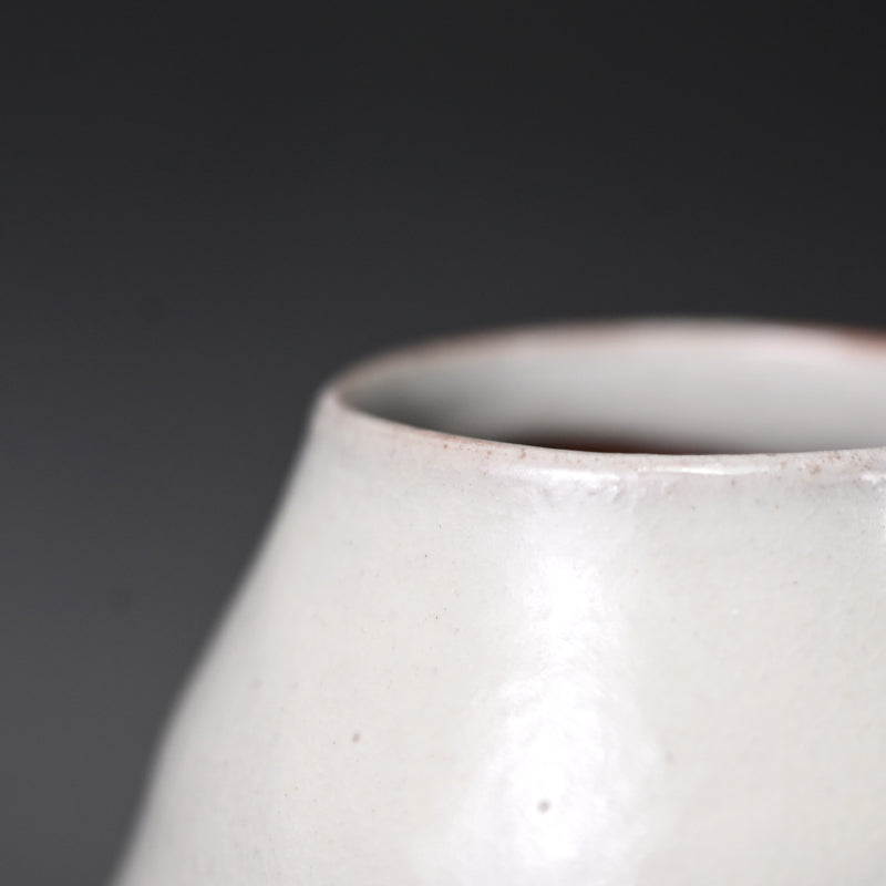 Classic Vase by Sodeisha Member ー山田 光 “白化粧 鉄繪 花入”