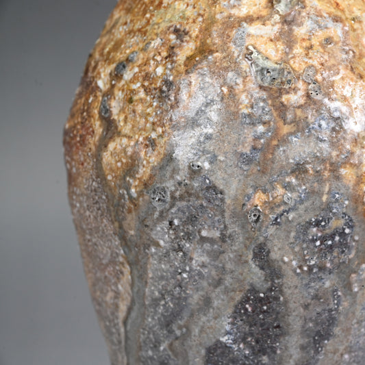 Iga Vase ー岸野 寛 “伊賀 焼〆花入”