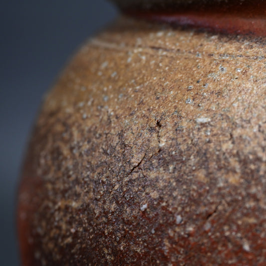 Classic Shigaraki Tsubo ー大谷 司朗 "信楽 壺”