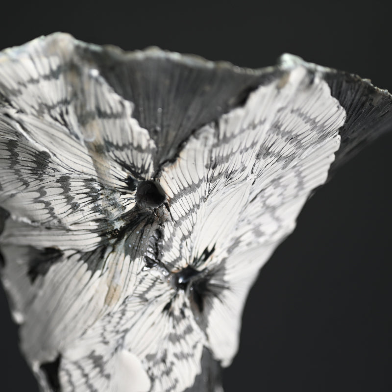 Contemporary Shingu Sayaka Vase ー新宮 さやか "萼容花入"