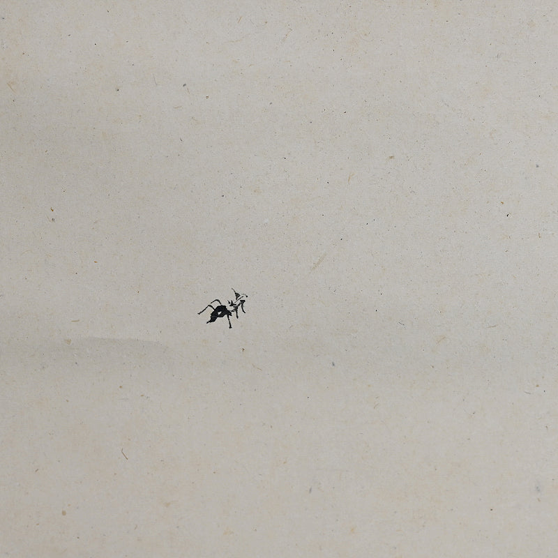 Meiji p. Zen Skull Painting ー尾竹 竹坡