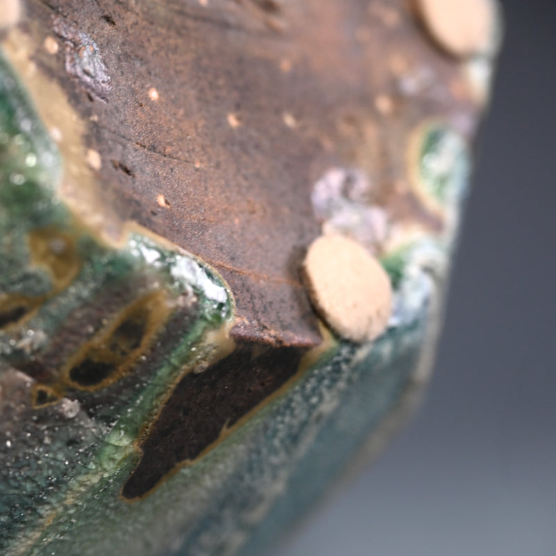 Spectacular Manyosai Tsubo