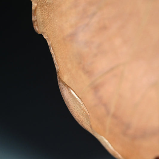 Incredible Antique Japanese Habon Carved Leaf Tray ー蓮葉形 菓司盆