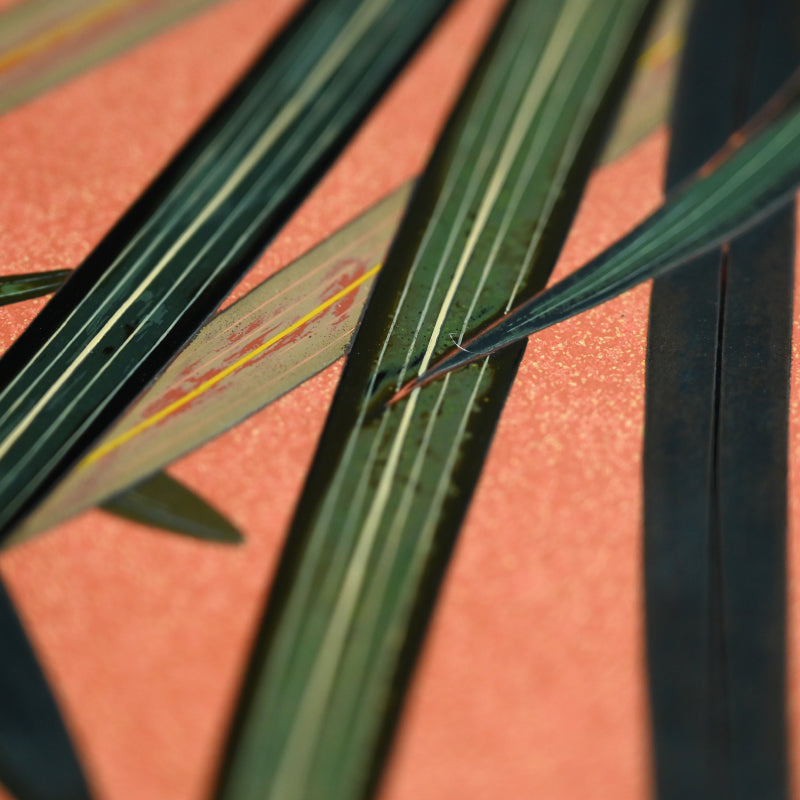 Spectacular  Lacquer Box ー番浦 省吾 "亀甲型手筥"