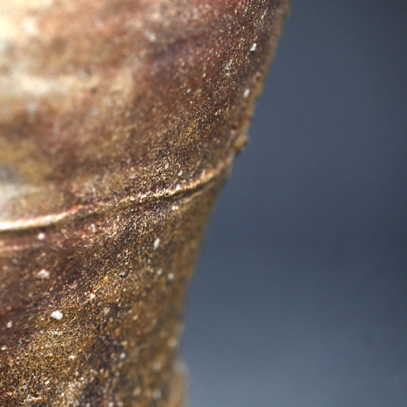 Contemporary Iga Tsubo ー小島 憲二 "伊賀焼 壺"