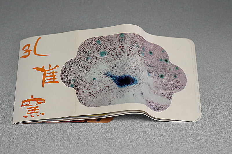 Kujaku Tenmoku Chawan Tea Bowl ー松山 雅英 "孔雀天目"