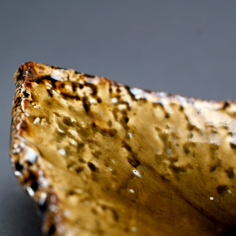 Slab Plate in Molten Ash by Iga Master ー新 学 "伊賀 長方皿"
