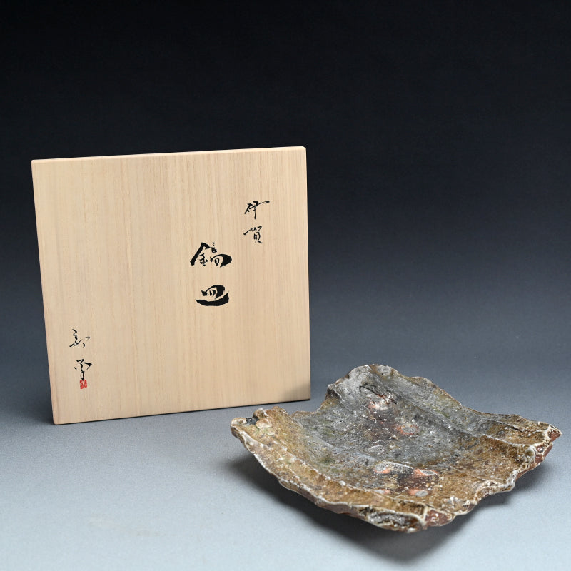 Spectacular Iga Shinogi Dish ー新 学 "伊賀 鎬皿"