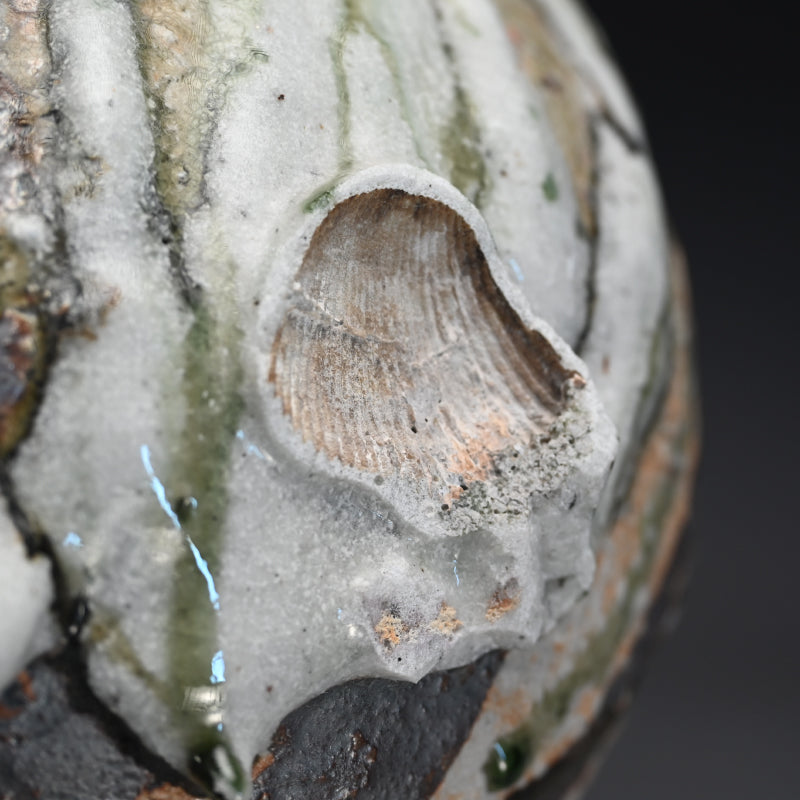 Incredible Murakoshi Takuma O-Tsubo ー"春秋大壺"
