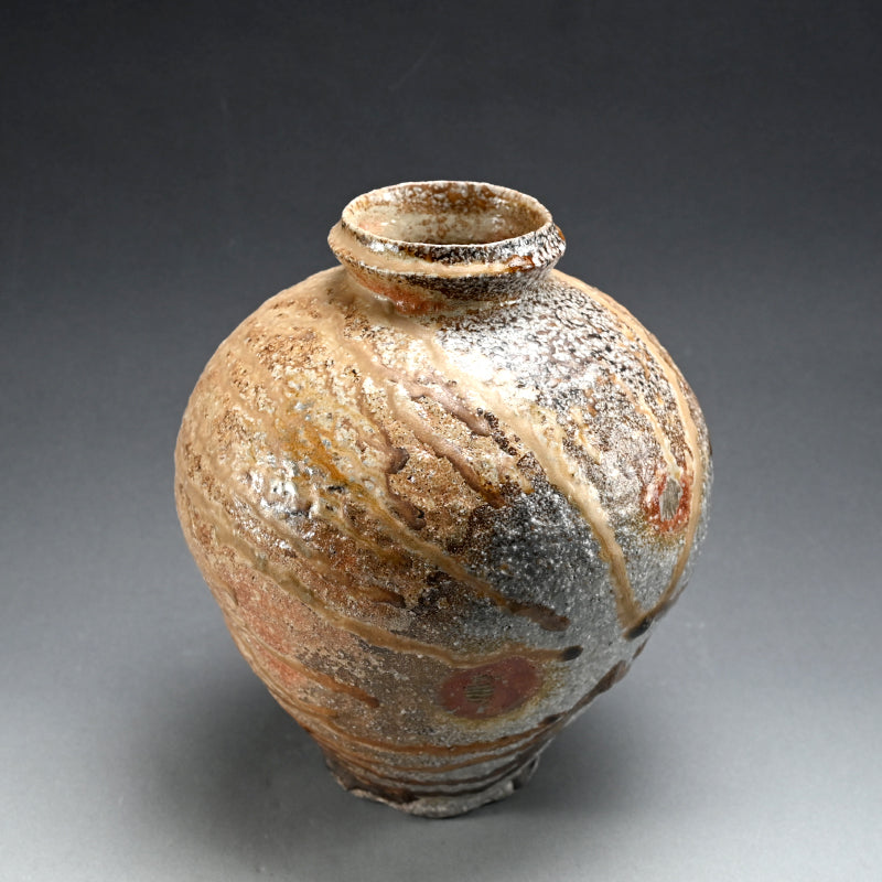 Fabulous Contemporary Anagama Tsubo ー古谷 剛敏 "信楽自然釉壺"