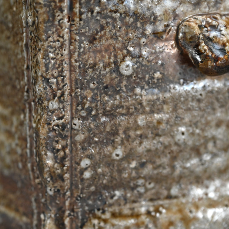 Masterpiece Shigaraki Mizusashi ー高橋 楽斎 "信楽焼 水指"