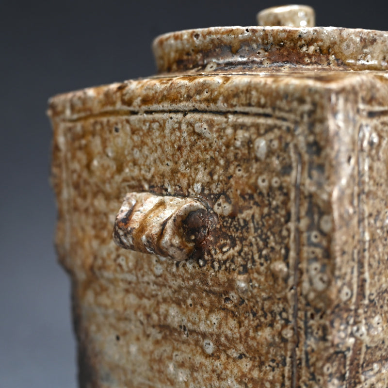 Masterpiece Shigaraki Mizusashi ー高橋 楽斎 "信楽焼 水指"