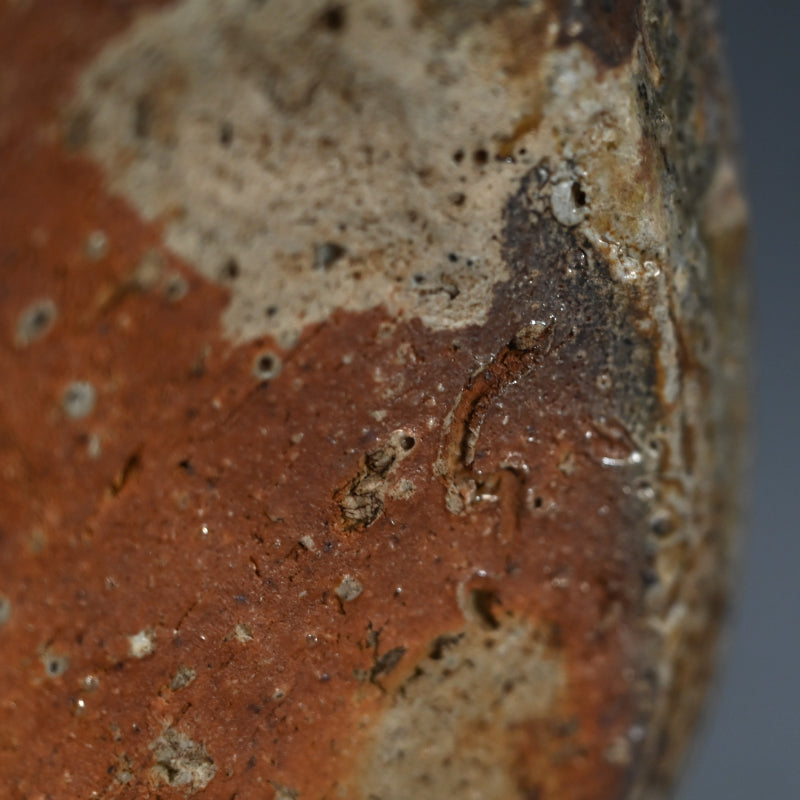 Masterpiece Shigaraki Mizusashi ー高橋 楽斎 "信楽焼 水指"