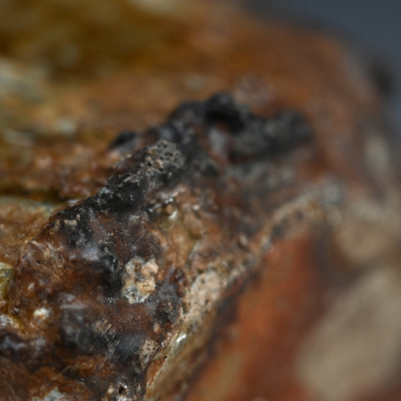 Masterpiece Shigaraki Mizusashi ー高橋 楽斎 "信楽焼 水指"