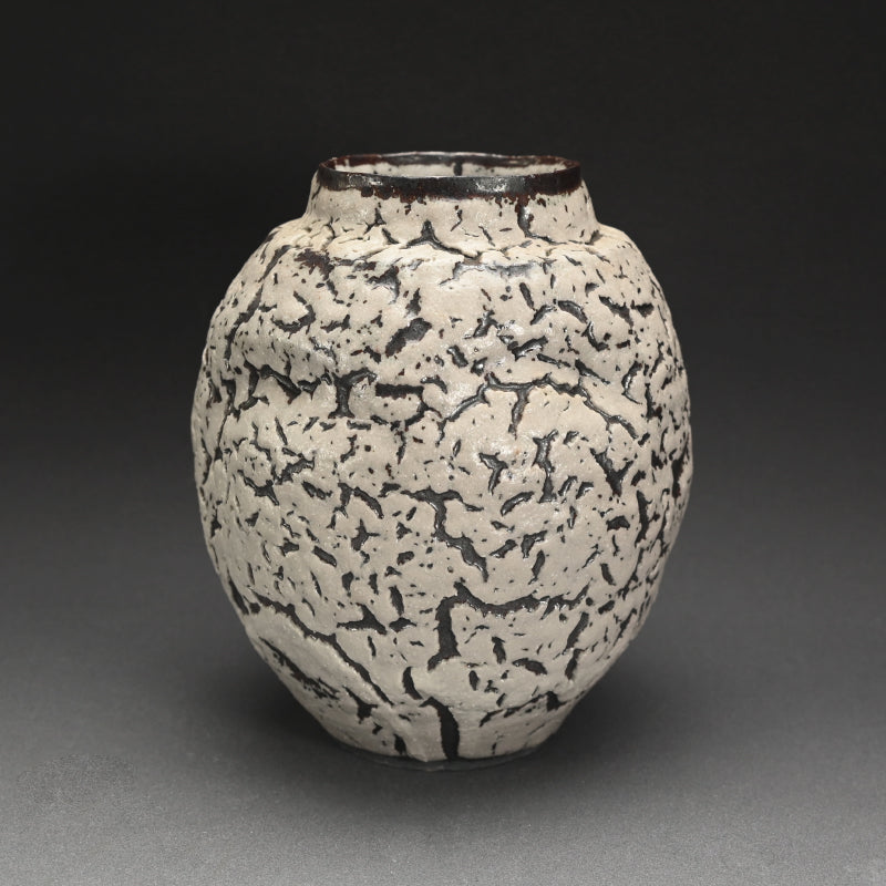 White glaze Vase ー木村 展之 "梅華皮 壺"