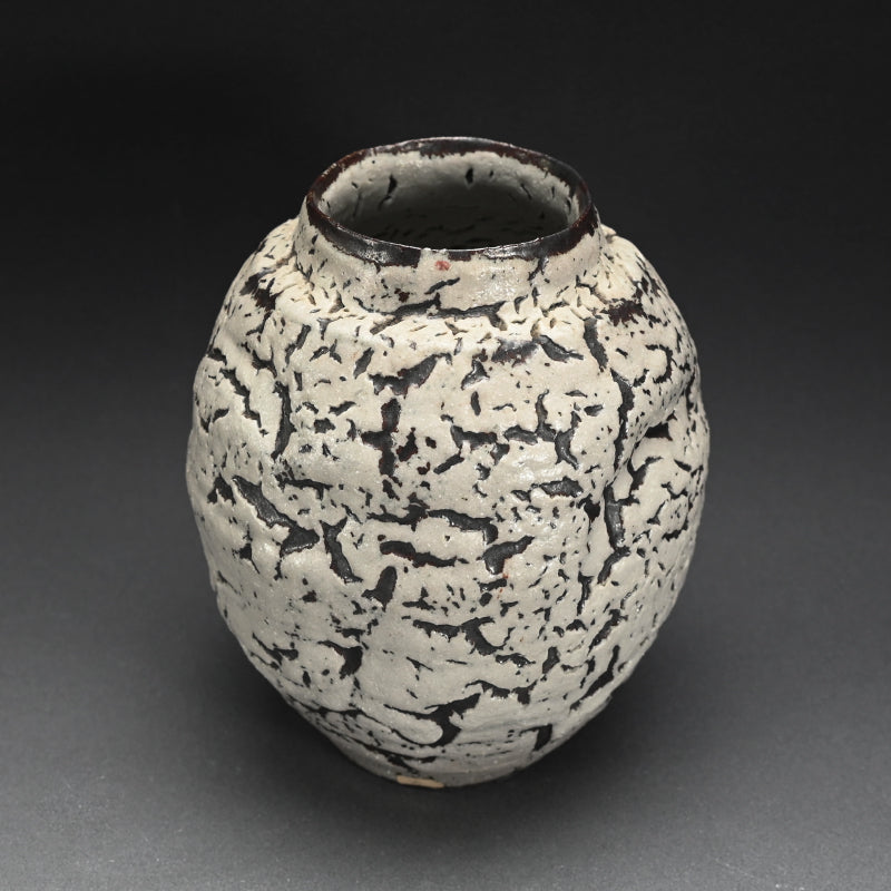 White glaze Vase ー木村 展之 "梅華皮 壺"