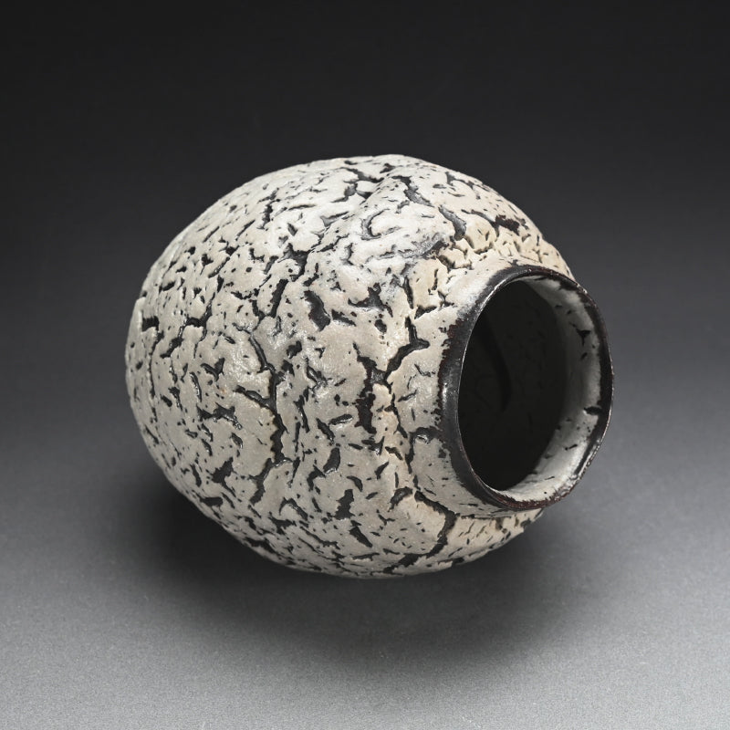 White glaze Vase ー木村 展之 "梅華皮 壺"