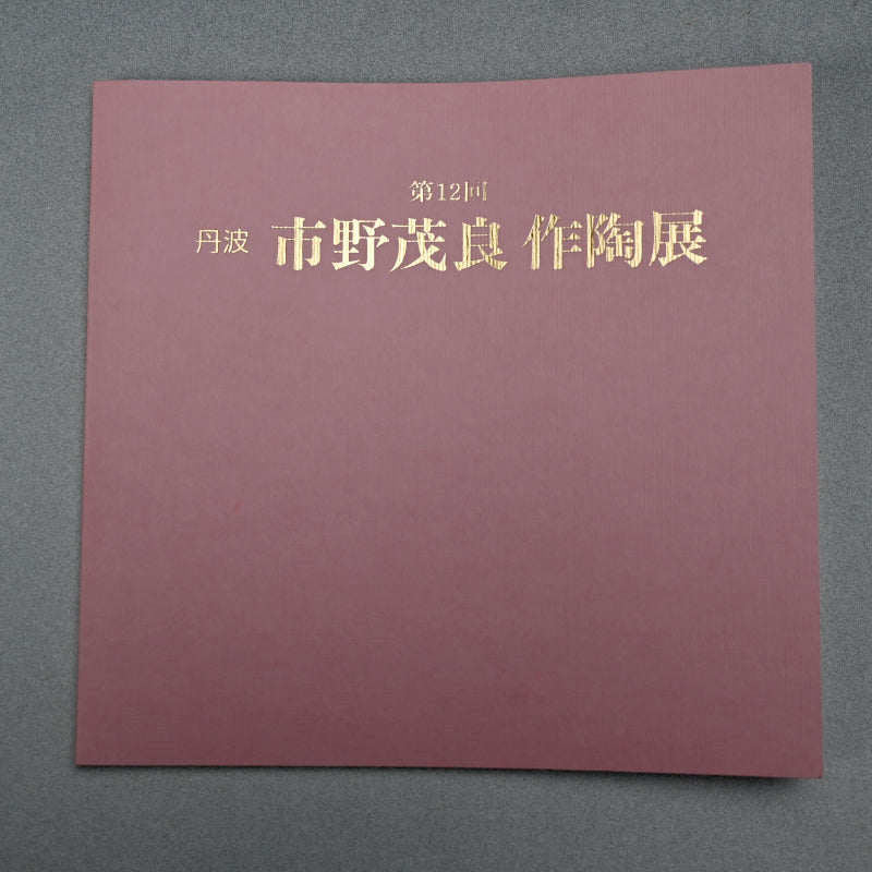 Salt Glazed O-Tsubo ー市野 茂良 "藍塩釉大壺"