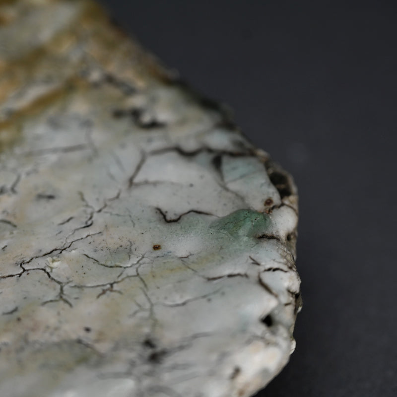 Rare Wood Fired Slab Plate ー加藤 委 "炎盤"
