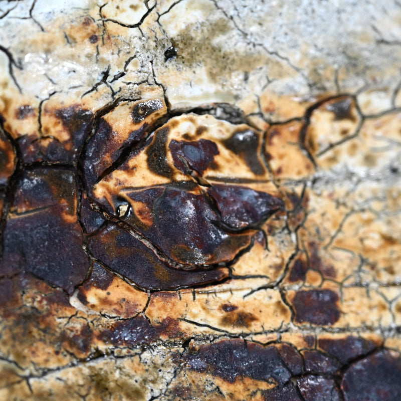 Rare Wood Fired Slab Plate ー加藤 委 "炎盤"