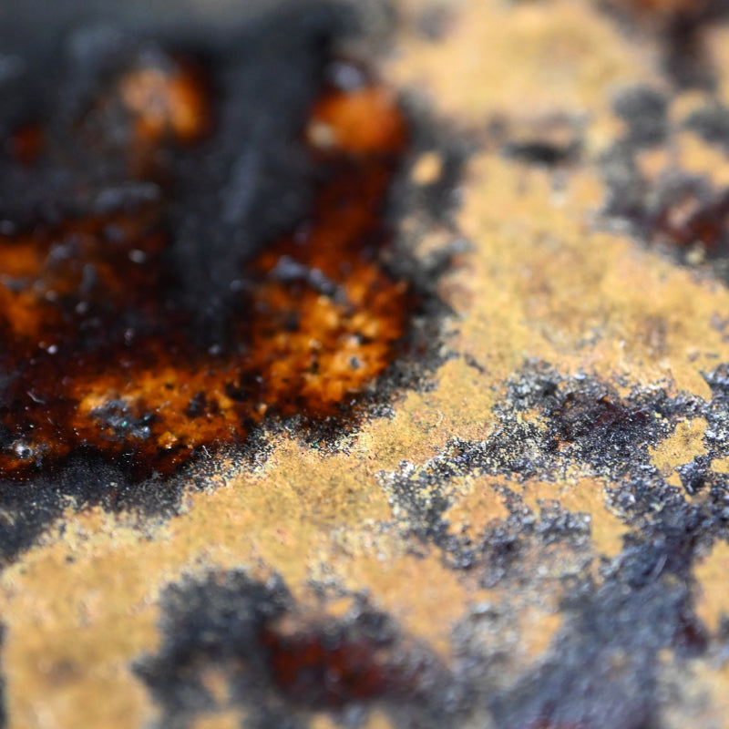 Rim Plate from Rakutogama ー楽久登窯 西村 昌光 "鉄釉八.五寸 リム皿"