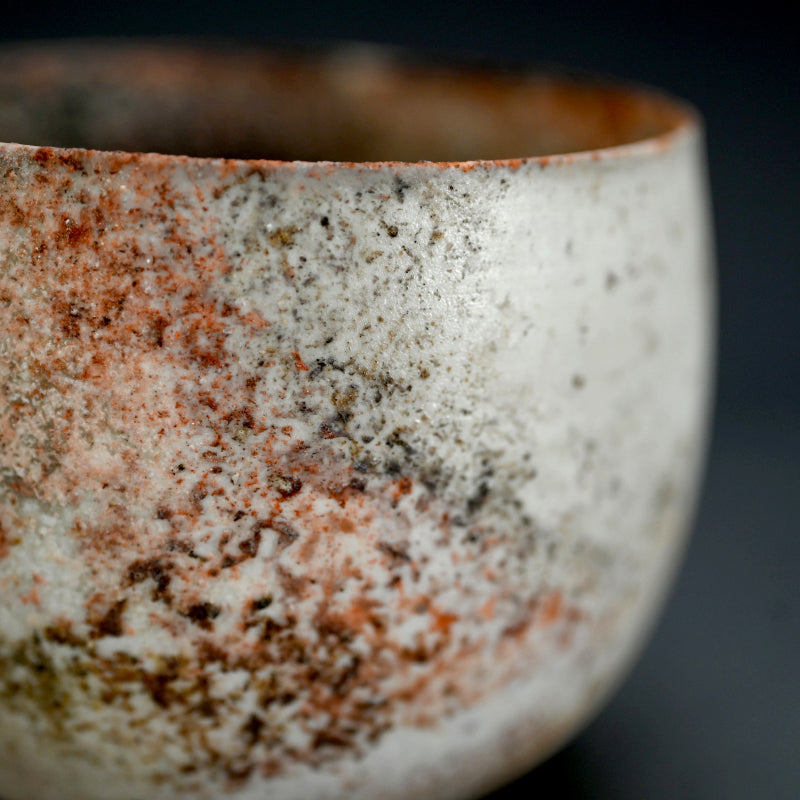 Terrifyingly Delicate Raw Porcelain Bowl ー松本 治幸 "白磁窯変碗"