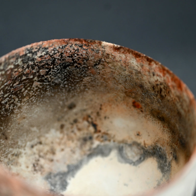 Terrifyingly Delicate Raw Porcelain Bowl ー松本 治幸 "白磁窯変碗"