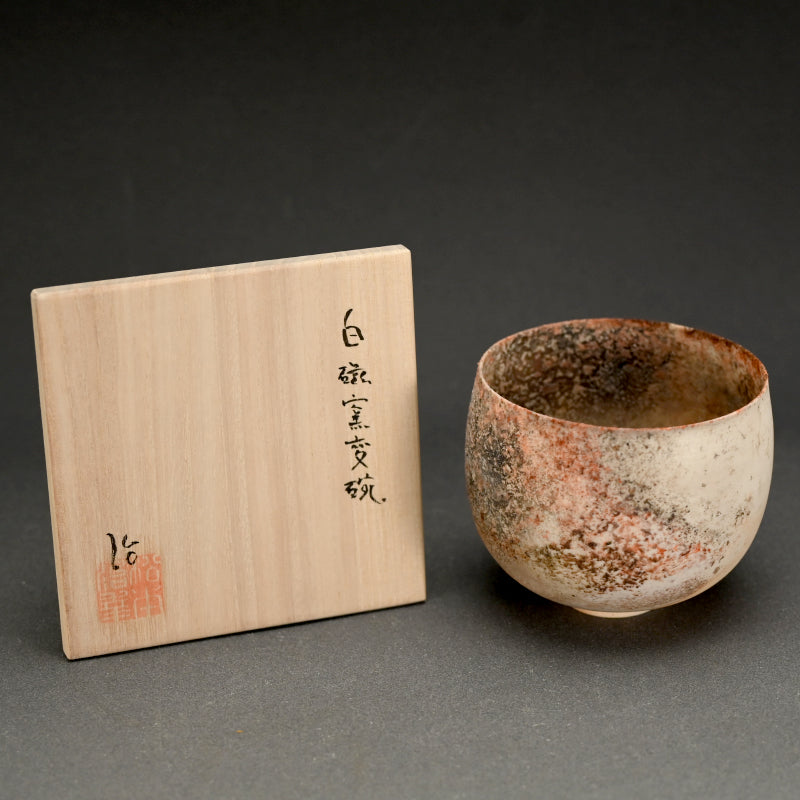 Terrifyingly Delicate Raw Porcelain Bowl ー松本 治幸 "白磁窯変碗"