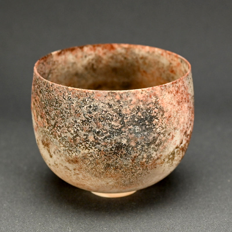 Terrifyingly Delicate Raw Porcelain Bowl ー松本 治幸 "白磁窯変碗"
