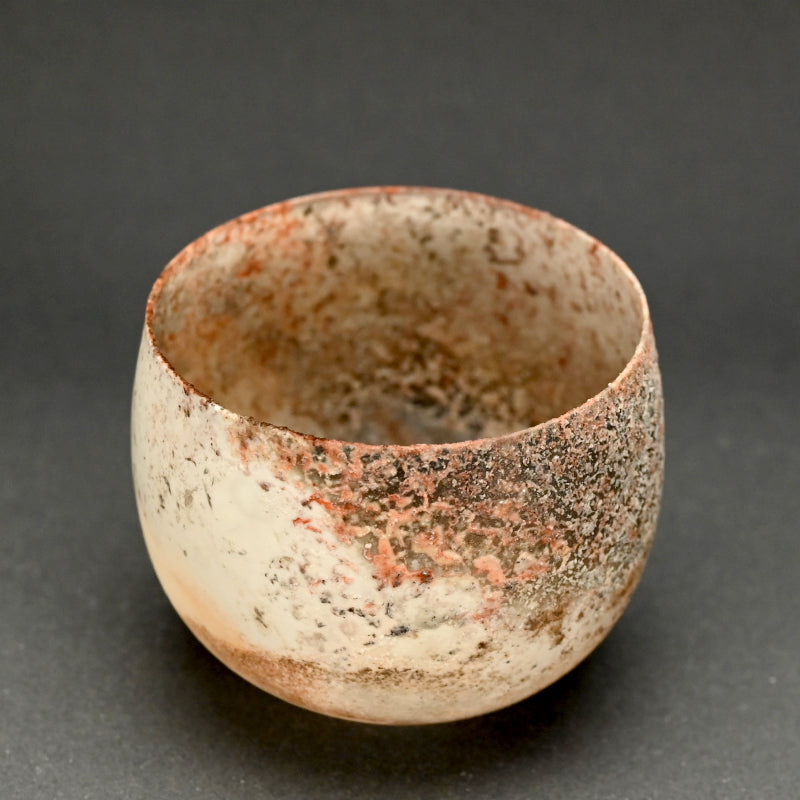 Terrifyingly Delicate Raw Porcelain Bowl ー松本 治幸 "白磁窯変碗"