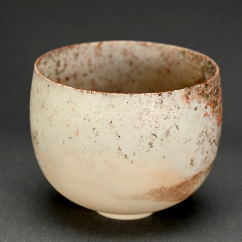 Terrifyingly Delicate Raw Porcelain Bowl ー松本 治幸 "白磁窯変碗"