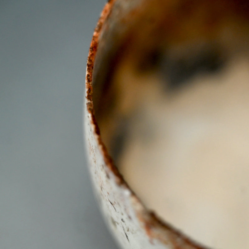 Terrifyingly Delicate Raw Porcelain Bowl ー松本 治幸 "白磁窯変碗"
