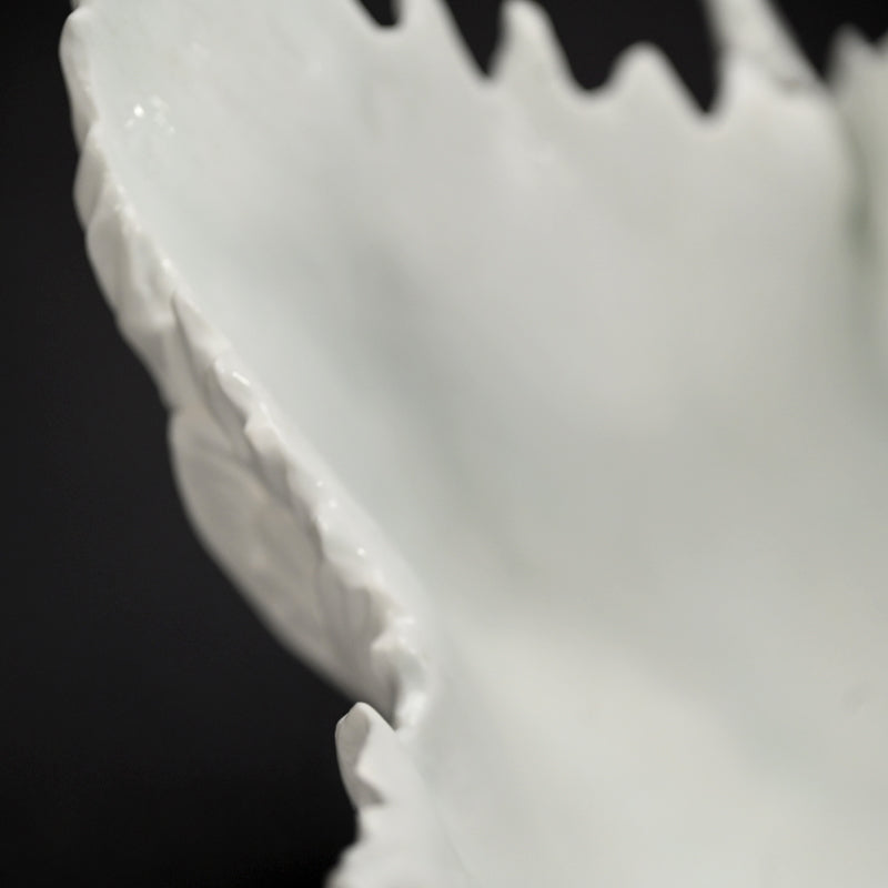 Contemporary Hakuji Porcelain Basin ー徳丸 鏡子 "白磁火焔紋 碗"