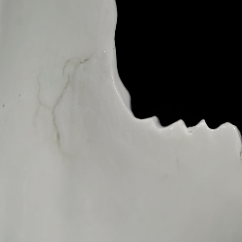 Contemporary Hakuji Porcelain Basin ー徳丸 鏡子 "白磁火焔紋 碗"