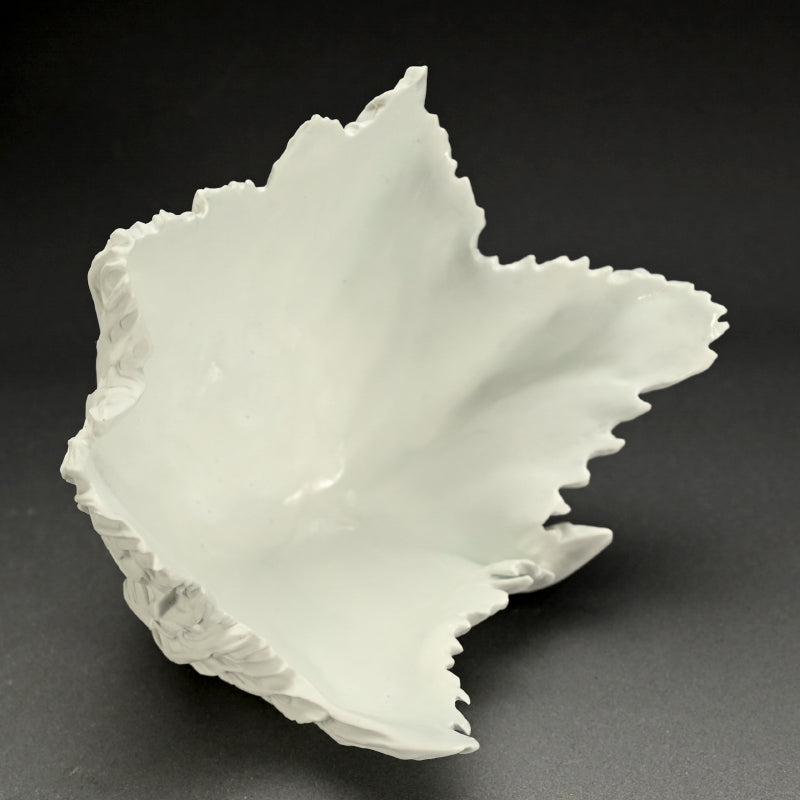 Contemporary Hakuji Porcelain Basin ー徳丸 鏡子 "白磁火焔紋 碗"