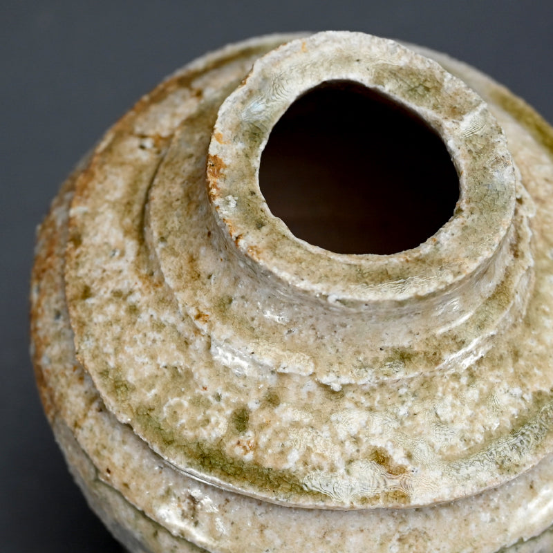 Shigaraki Bottle Vase ー藤本 秀 "信楽 花生"