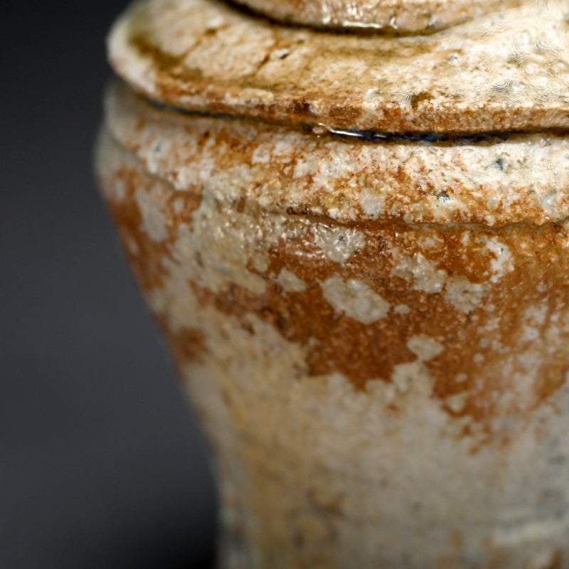 Shigaraki Bottle Vase ー藤本 秀 "信楽 花生"