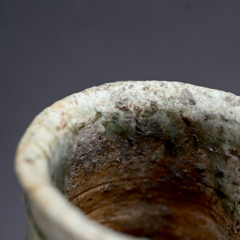 Iga Hanaire ー古谷 道生 "伊賀 花入"