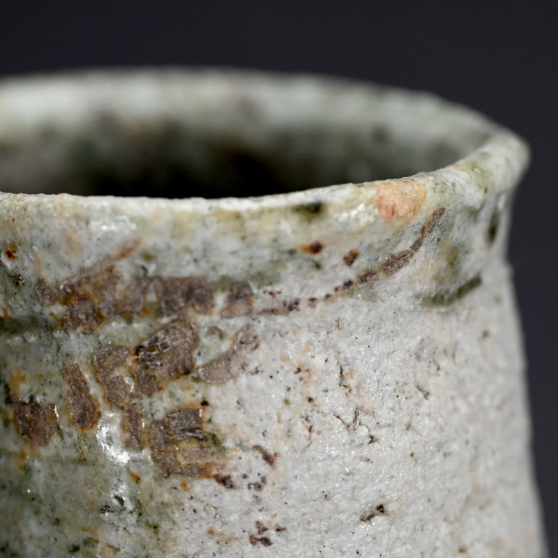 Iga Hanaire ー古谷 道生 "伊賀 花入"