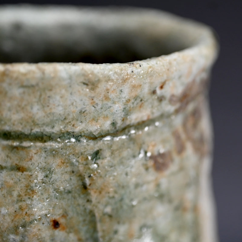 Iga Hanaire ー古谷 道生 "伊賀 花入"