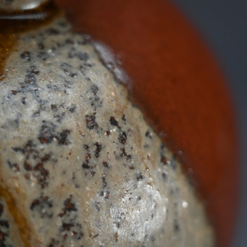 Fabulous Early Work by LNT Shimizu Uichi ー“鉄釉二彩 花瓶”