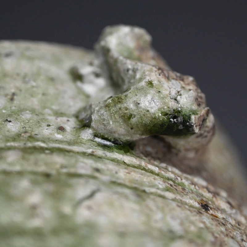 Ash Glazed Mizusashi ー辻村 史郎 "自然釉耳付水指"