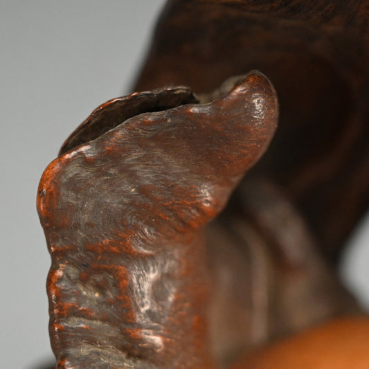 Root-Wood Stand
