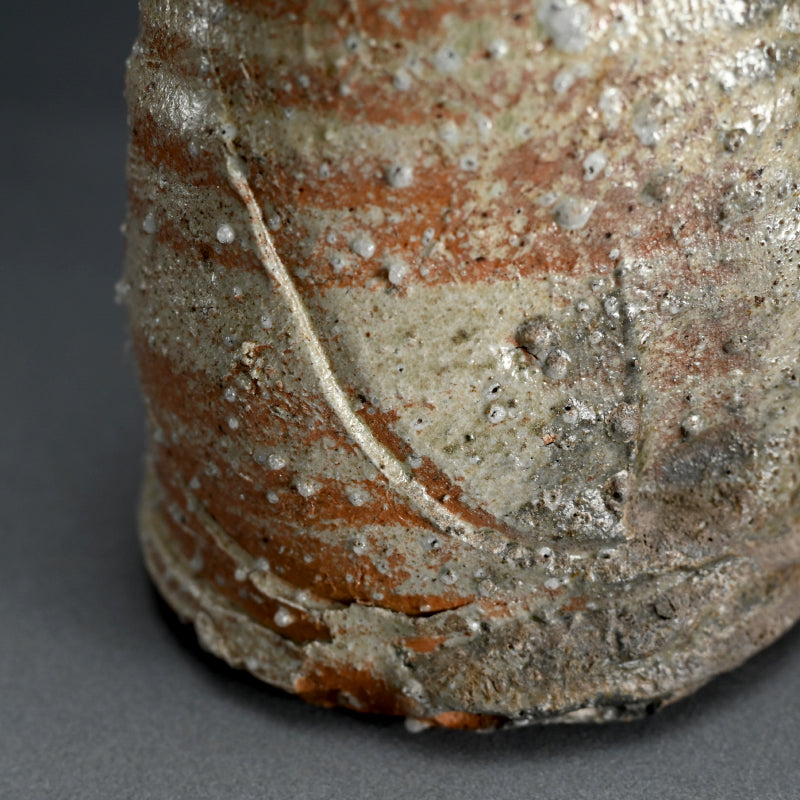 Iga Vase ー辻村 史朗 “伊賀耳付花生”